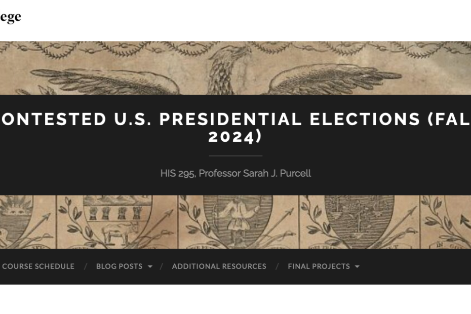 Screenshot of the HIS-295 course blog